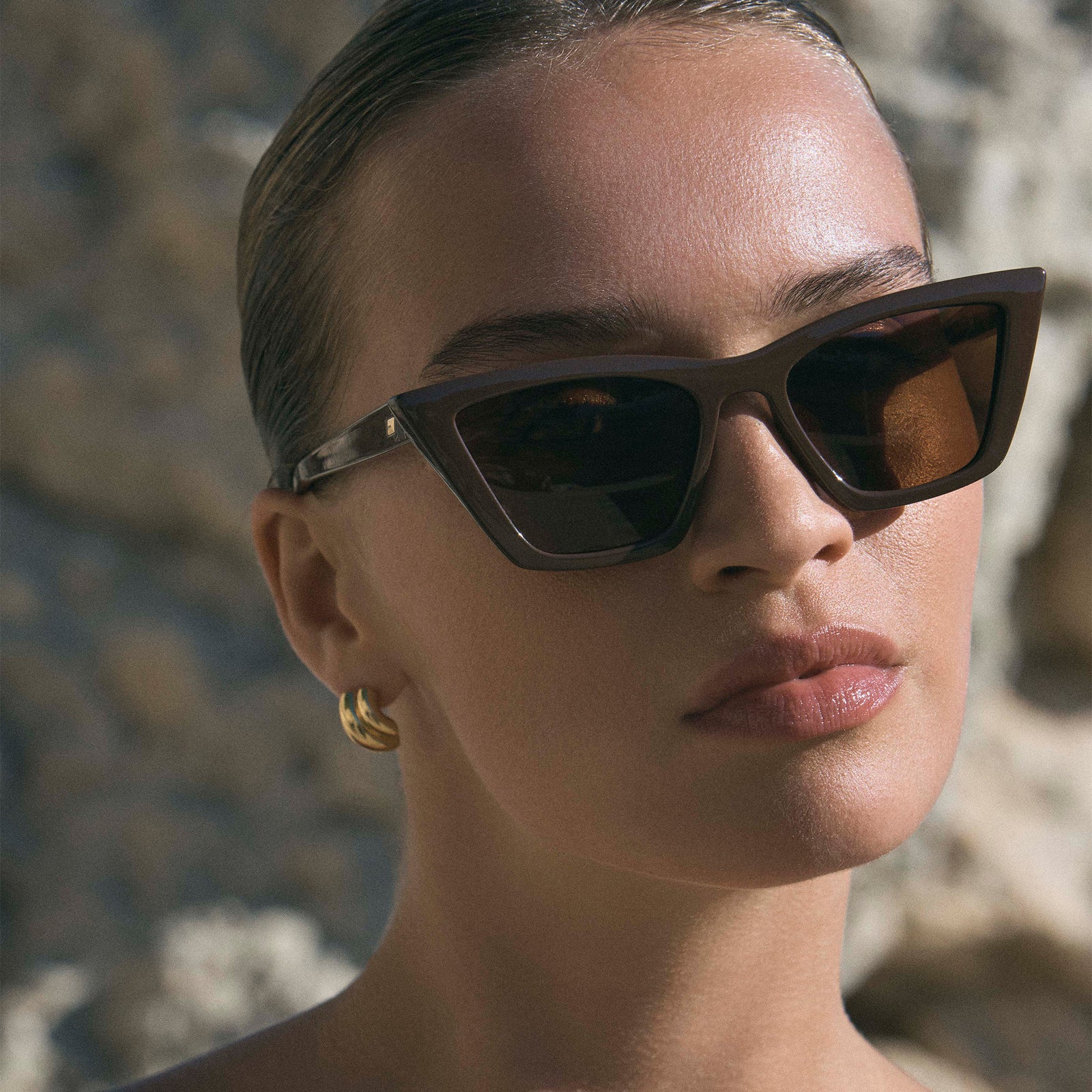 Velodrome Cocoa Female Cat-Eye Sunglasses | Le Specs